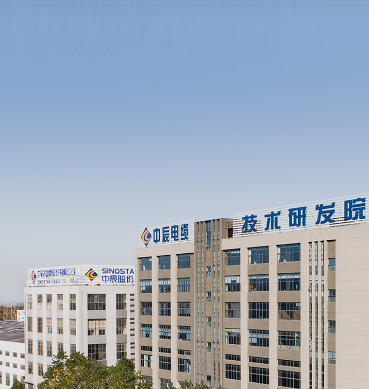 关于球速体育
