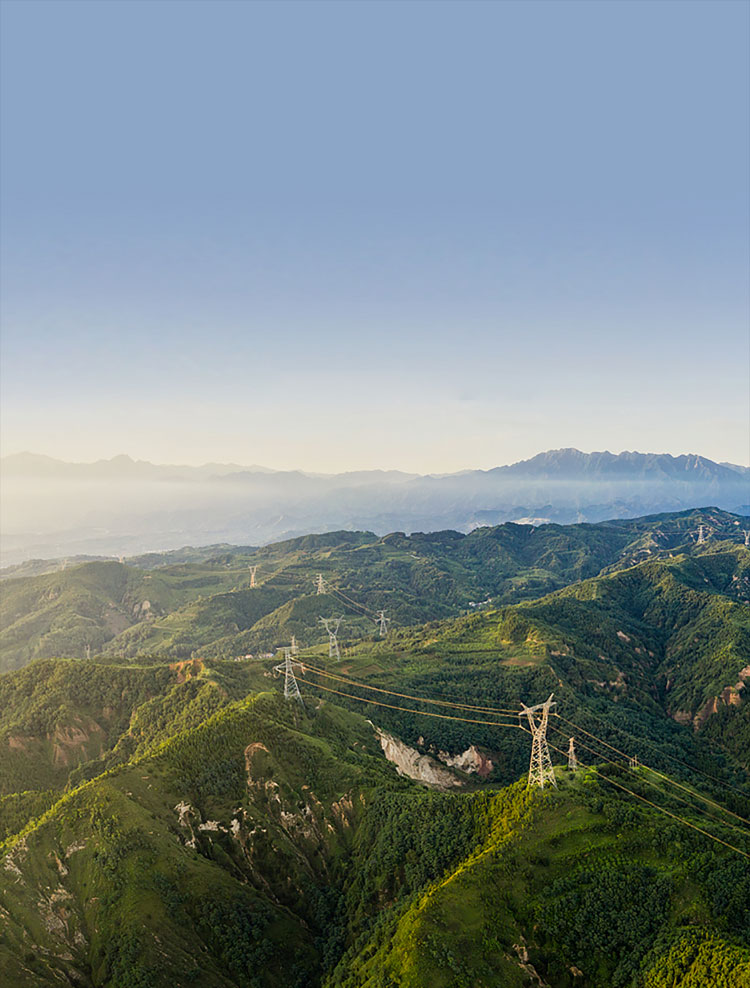 球速体育
股份